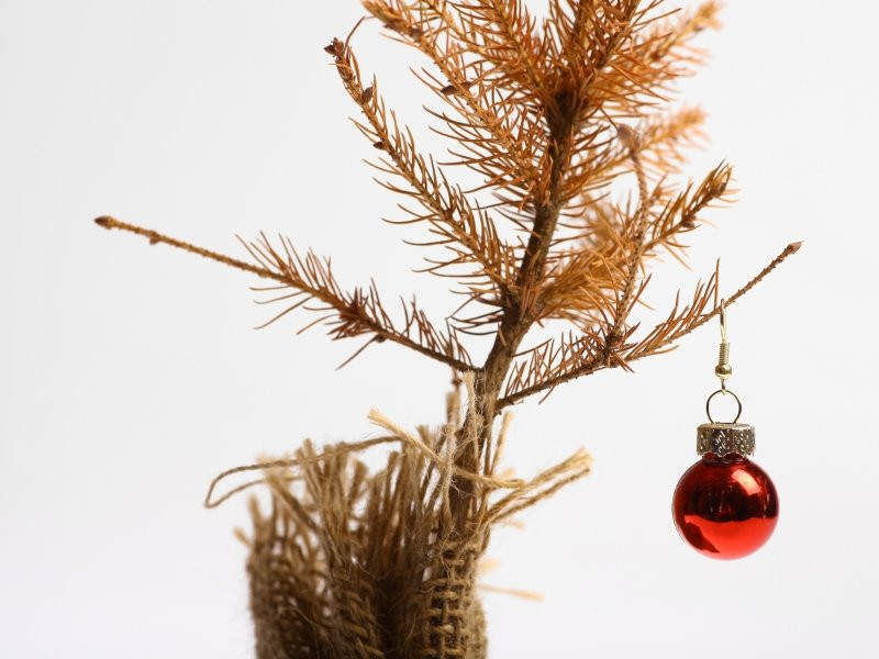 Vánoce na cestě od duchovních hodnot ke konzumu aneb "Šťastné a plastové"...